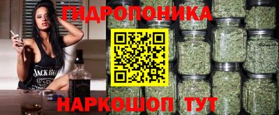гашик Новодвинск
