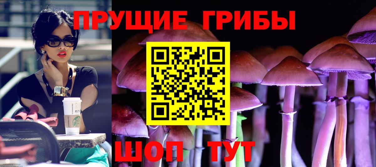 Псилоцибиновые грибы Magic Shrooms  Вход с VPN  Татарск 